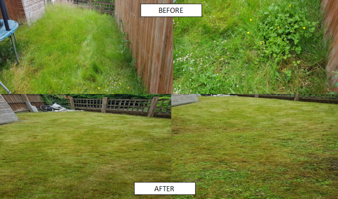 Gardener: Image 3